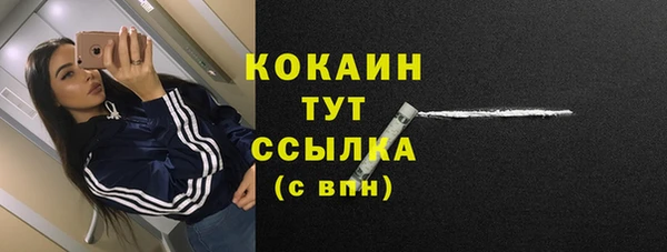 соль курить ск Алзамай