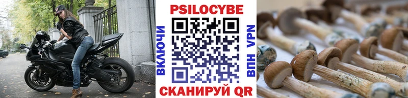 Псилоцибиновые грибы GOLDEN TEACHER  Белоярский 